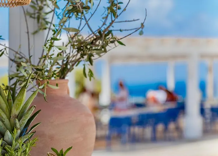 Wellclub - Family Wellness & Sea View Otel Pafos